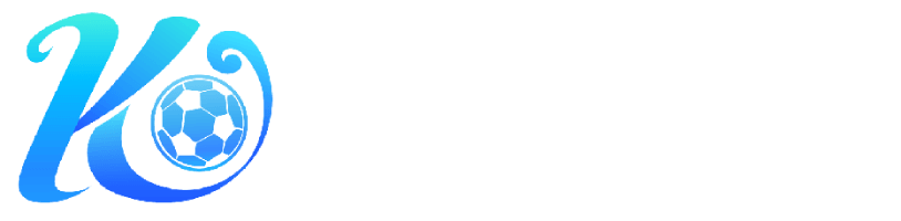星彩国际